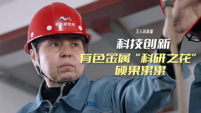 大企业数据湖应用：揭秘其背后的架构与挑战**